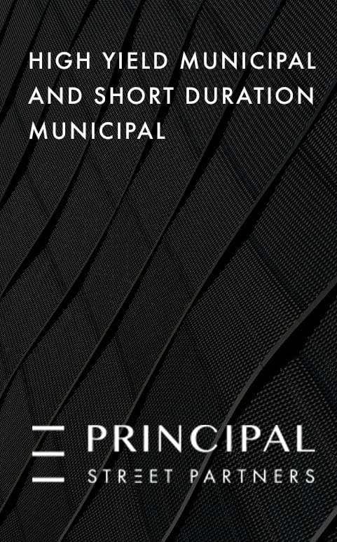 High-Yield-and-SD-Municipal-Image